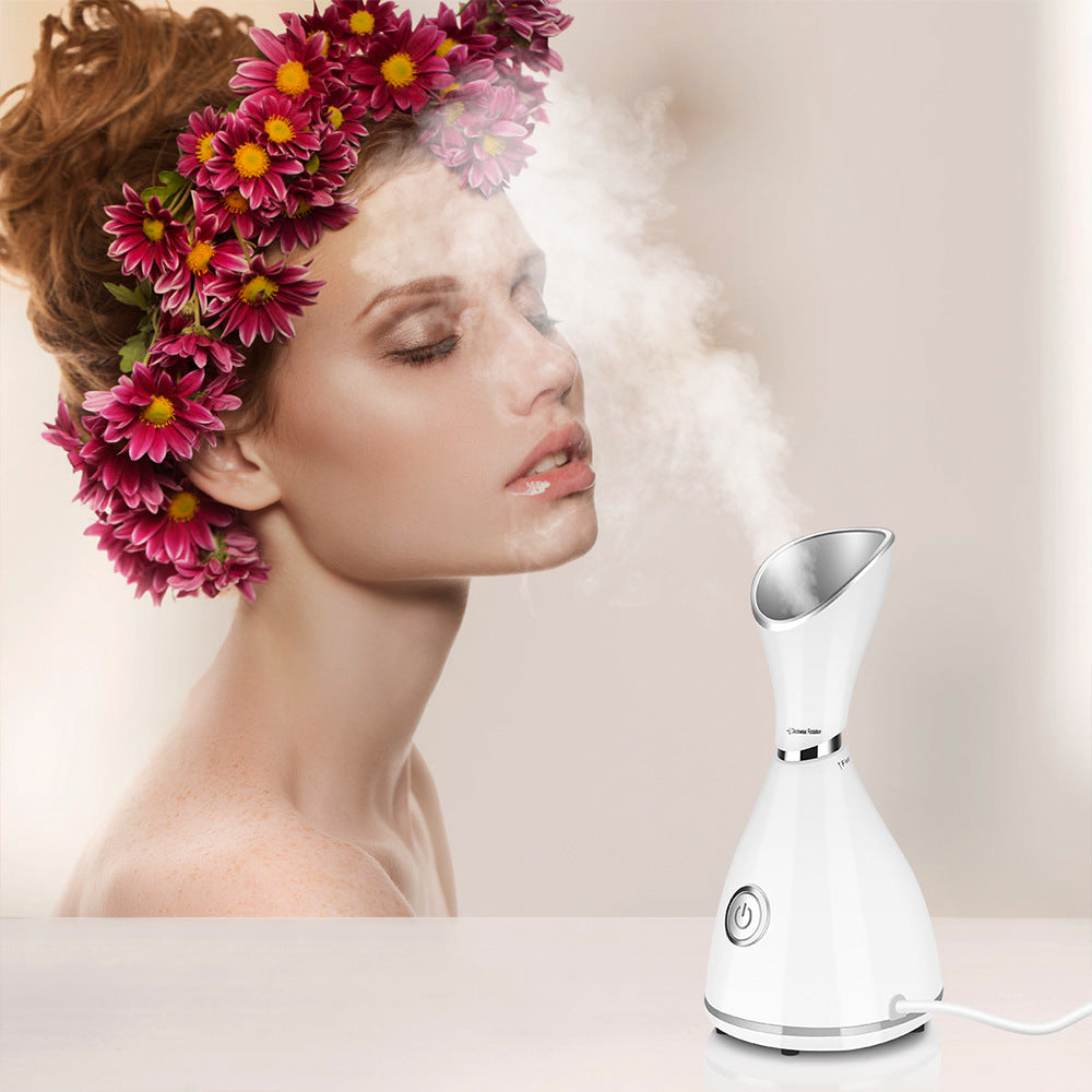 Beauty Face Steamer